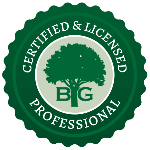 Available By Appointment